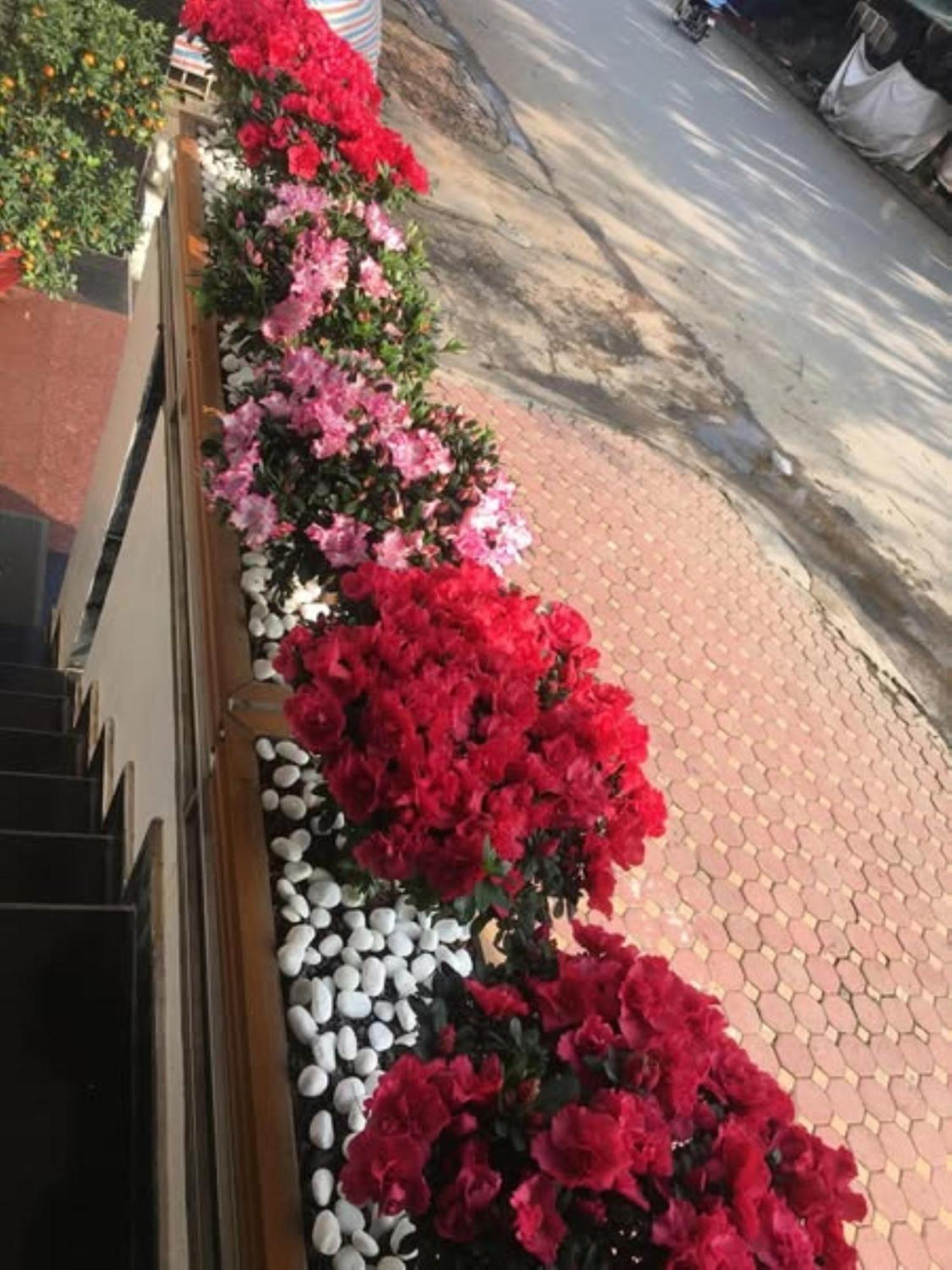 Hoa Viet Hotel Каобанг Экстерьер фото